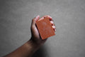 Red Clay Bar Soap